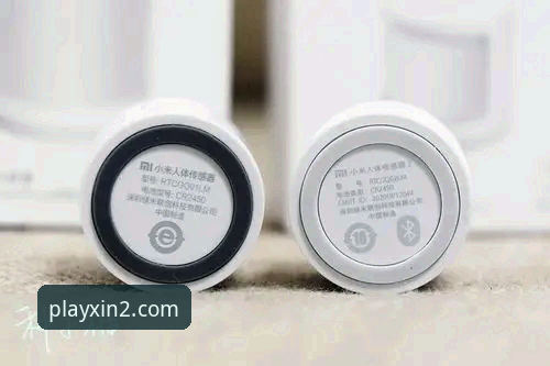 新2下载使用指南：官网登录 vs 第三方渠道，哪个更稳更安全？